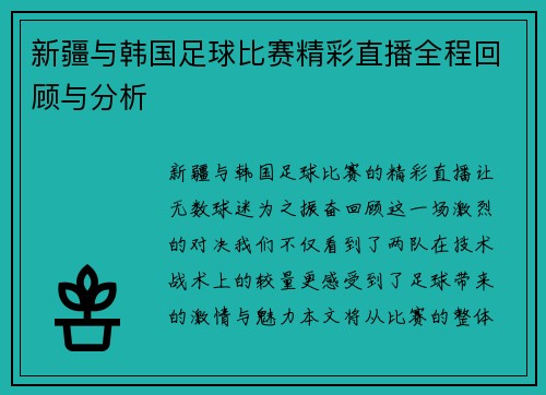 新疆与韩国足球比赛精彩直播全程回顾与分析